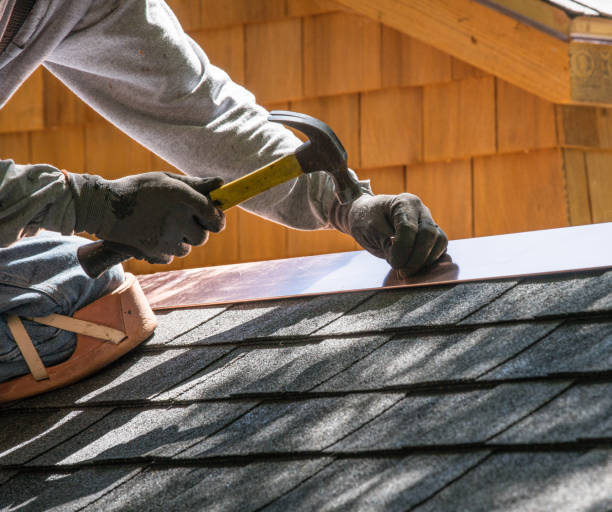 Best Roof Gutter Cleaning  in Gloucester City, NJ